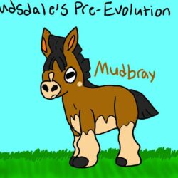 MudBray