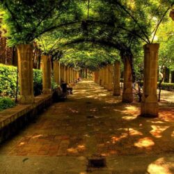 Wallpapers Natured Plase Place Alley Bench City Nature Park Spain