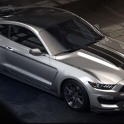 Ford Mustang Shelby GT350 2016 HD wallpapers free download
