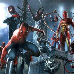 All Spiderman Versions