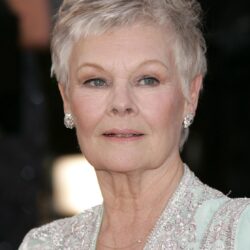 Fallen by Lauren Kate image Judi Dench Miss Sophia HD wallpapers