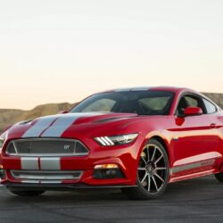 2013 ford mustang shelby gt350 wallpapers : Tracksbrewpubbrampton