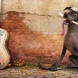Coco Pixar 2017 Movie Wallpapers