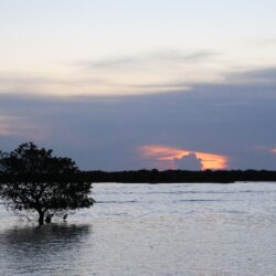 Siem Reap, Sunset, Water, Lake, Sea, Blue, Trees Wallpapers HD