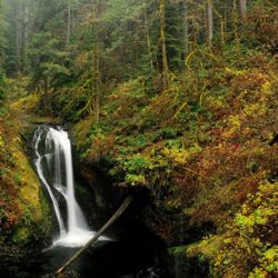 Wallpapers USA Oregon Nature Autumn Waterfalls Forests