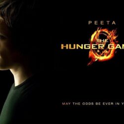 The Hunger Games wallpapers