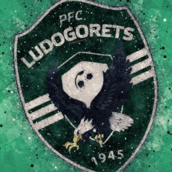 Download wallpapers FC Ludogorets, 4k, geometric art, logo