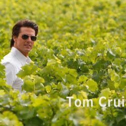 Tom Cruise Wallpapers