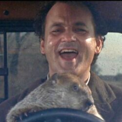 Bill Murray Reenacts ‘Groundhog Day’ By Going To See ‘Groundhog Day
