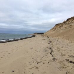 Best Trails in Cape Cod National Seashore