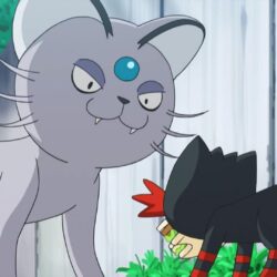 All Cat Inspired Pokemon