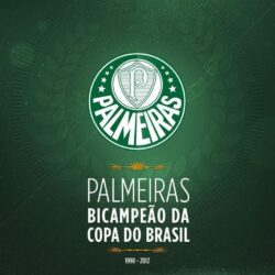 Wallpapers Palmeiras Campeão da Copa do Brasil 2012