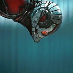 12010 ant man wallpapers hd