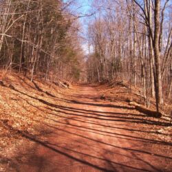 Forests: Quinnipiac River Gorge Rail Trail Connecticut Blue Sky Path