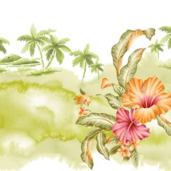 Wallpapers For > Hawaiian Flower Desktop Wallpapers