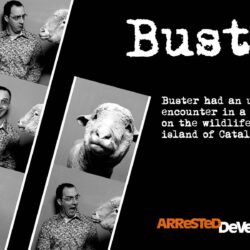 Arrested Development image Buster