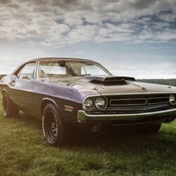 Dodge Challenger Hd 4k vintage cars wallpapers, muscle cars