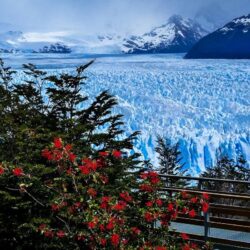 Wallpapers Argentina Perito Moreno Glacier Santa Cruz Province