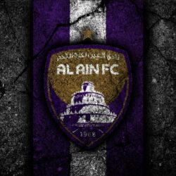 Download wallpapers 4k, Al Ain FC, emblem, UAE League, soccer