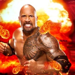 the rock wallpapers wwe