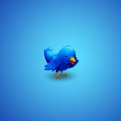 Twitter bird wallpapers