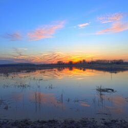 Baker Wetlands, Kansas ❤ 4K HD Desktop Wallpapers for 4K Ultra HD TV