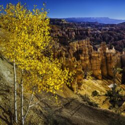 Trees mountains rocks USA Utah Bryce Canyon National Park