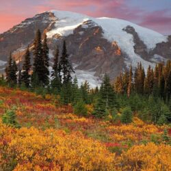 Mount Rainier HD Wallpapers