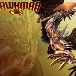 Savage Hawkman 3 by Superman8193