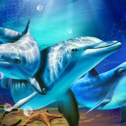 3D Living Dolphin HD Wallpapers