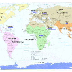 Map Of World Wallpapers and Backgrounds