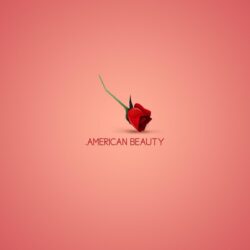 minimalistic, movies, American Beauty :: Wallpapers