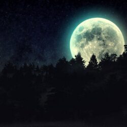 full moon beyond the pines wallpapers