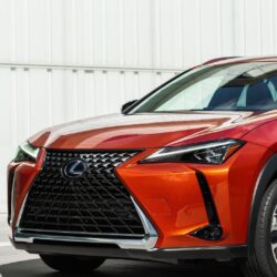 Red, 2019 Lexus UX 250, wallpapers