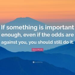 Elon Musk Quote: “If something is important enough, even if the