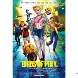 Birds of Prey Movie Wallpapers
