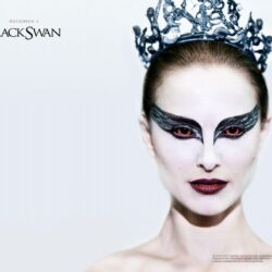 Black Swan Wallpapers