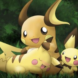 26 Raichu