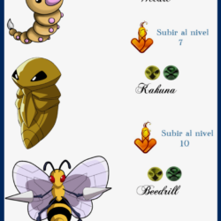005 Weedle Evoluciones by Maxconnery