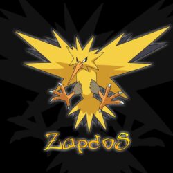 Pokemon Zapdos 790310