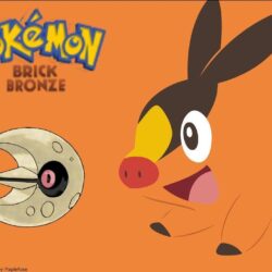 Let’s Play Pokemon Brick Bronze Euer ernst ein LUNATONE!!!