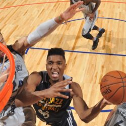 Donovan Mitchell ‘goes yard’ with 37 points, eight steals in
