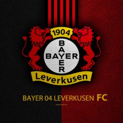 Download wallpapers Bayer 04 Leverkusen FC, 4k, German football club
