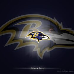 Collection of Baltimore Ravens Backgrounds on HDWallpapers