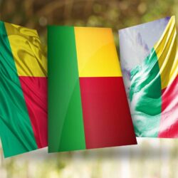 Benin Flag Wallpapers for Android