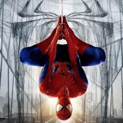 Spider Man Marvel Wallpapers Free