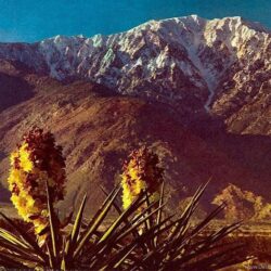 Mt San Jacinto Southern California Nature Wallpapers Image
