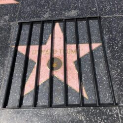 Walk of Shame? A Guerrilla Artist Put Donald Trump’s Hollywood Star