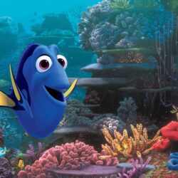 Finding Dory 4K Wallpapers