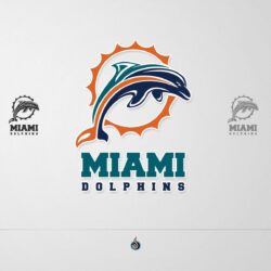 Miami Dolphin Wallpapers